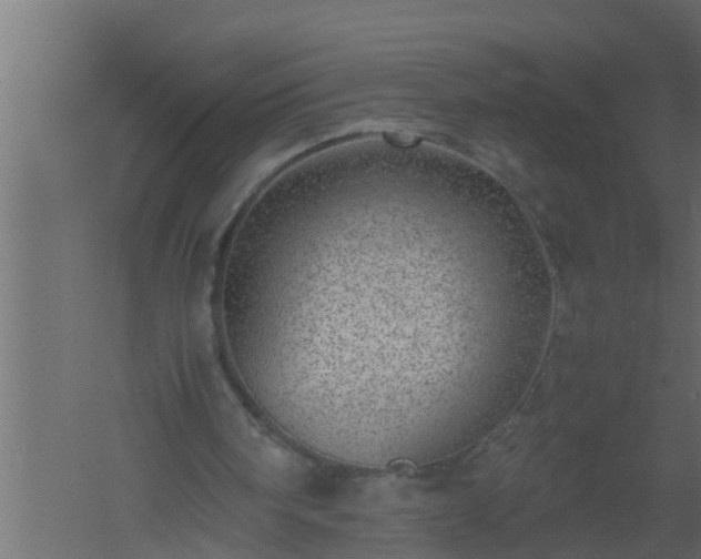 X0000061110098200511241654