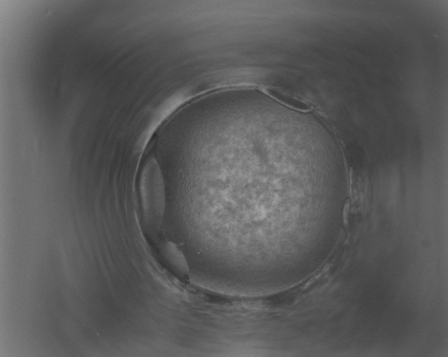 X0000061110099200511241654