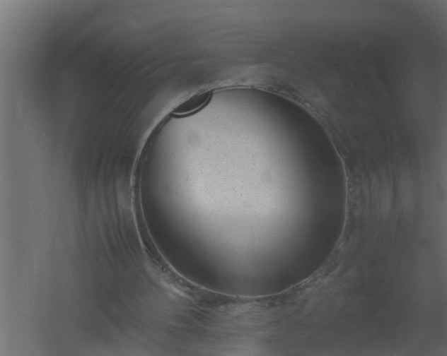 X0000061110100200511241654