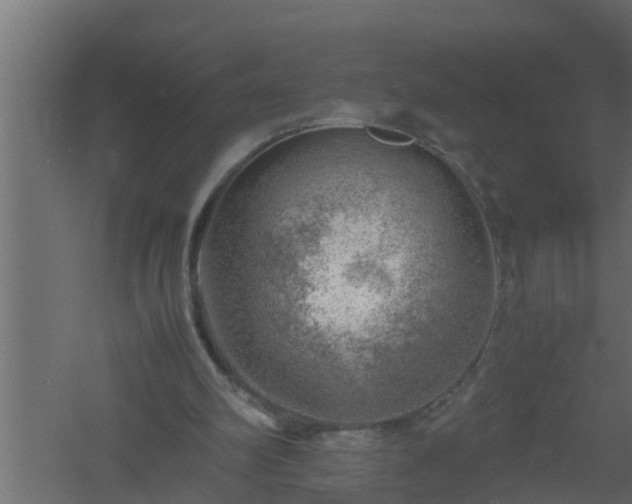 X0000061110102200511241654