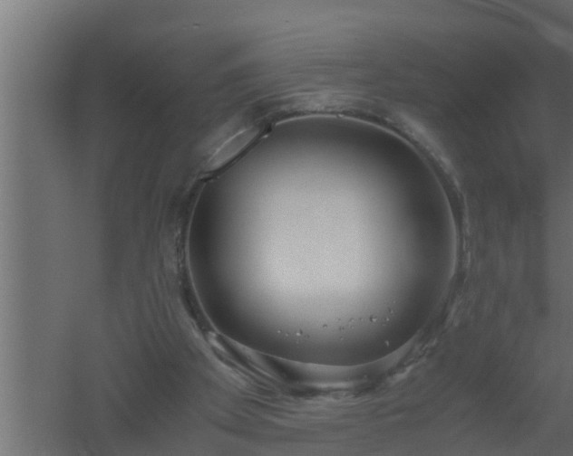 X0000061110105200511241654