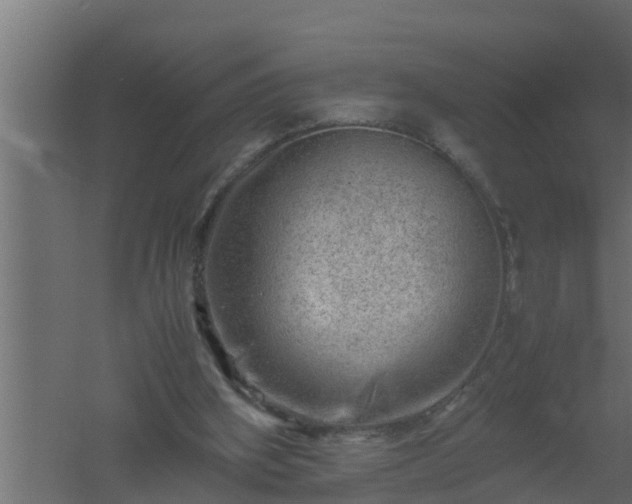 X0000061110106200511241654