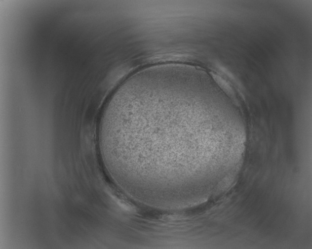 X0000061110107200511241654