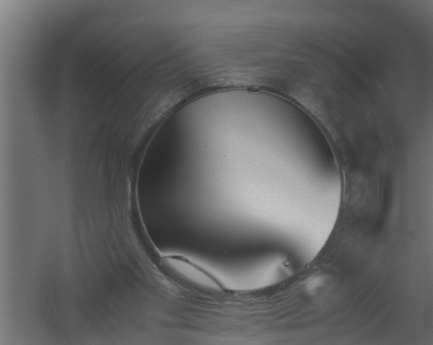 X0000061110109200511241654