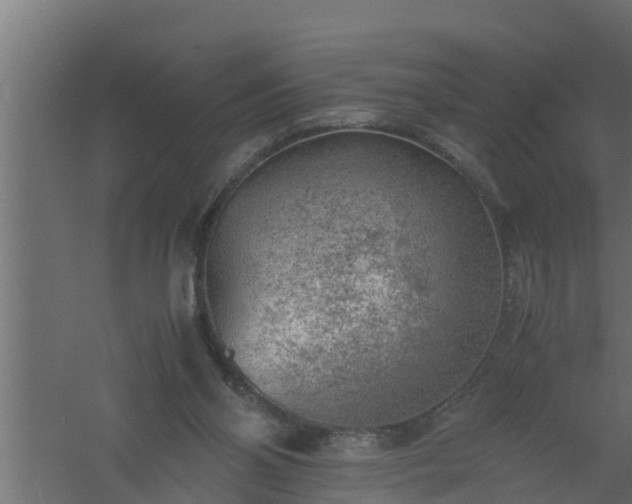 X0000061110110200511241654