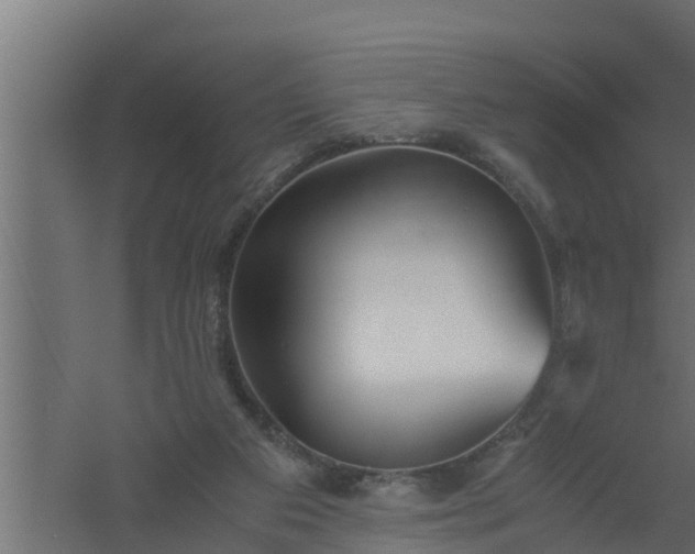 X0000061110113200511241653