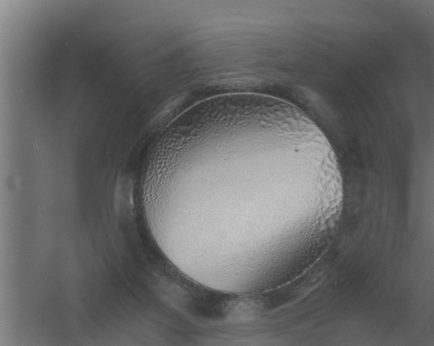 X0000061110115200511241653