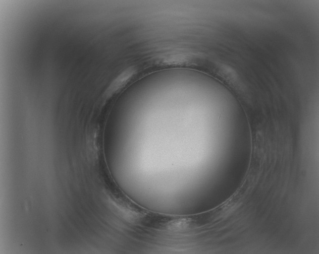 X0000061110116200511241653