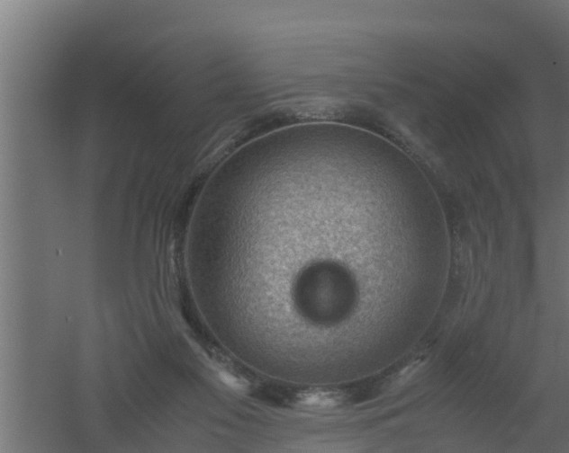 X0000061110117200511241653