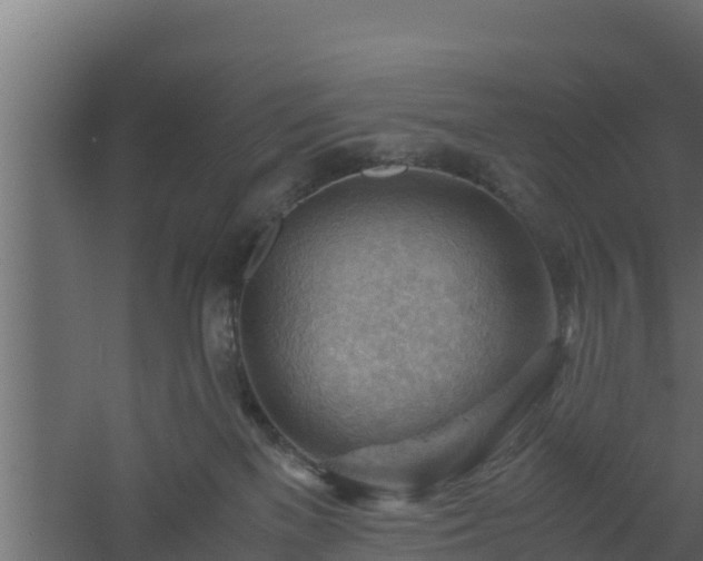 X0000061110137200511241653