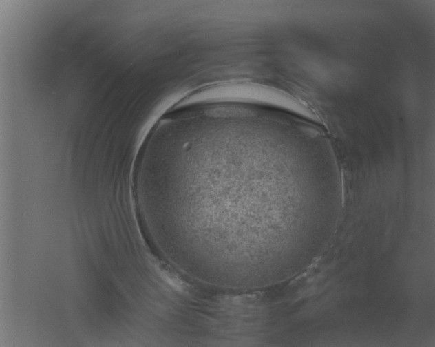 X0000061110147200511241652