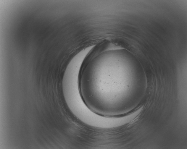 X0000061110180200511241653