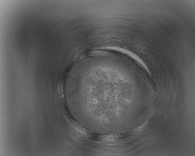 X0000061110182200511241653