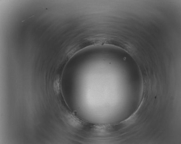 X0000061110190200511241653