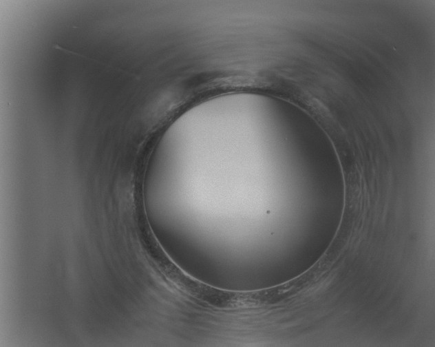 X0000061110207200511241652