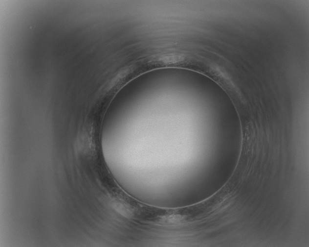 X0000061110212200511241652