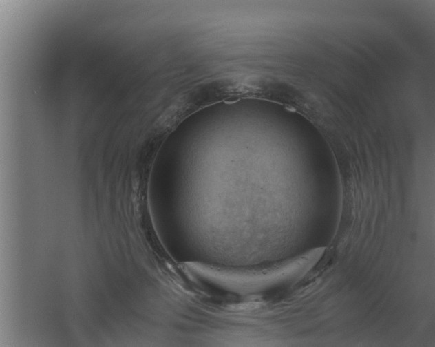 X0000061110223200511241652
