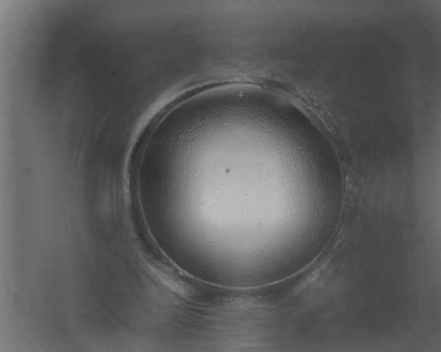X0000061110246200511241650