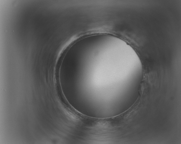 X0000061110248200511241651