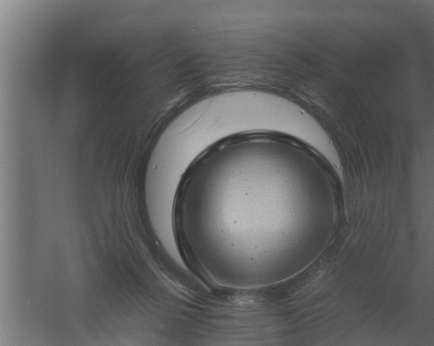 X0000061110264200511241651