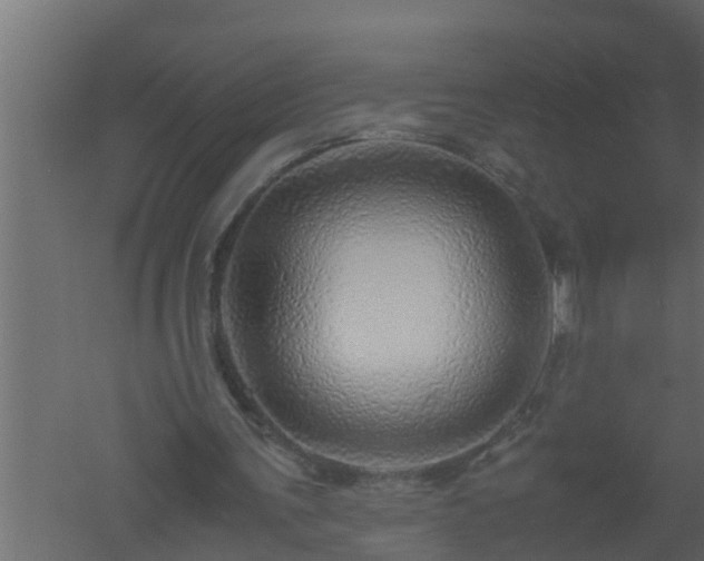 X0000061110291200511241650