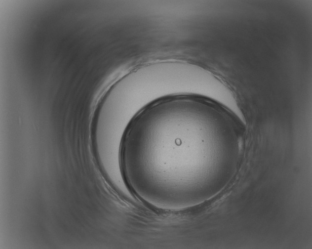 X0000061110293200511241650