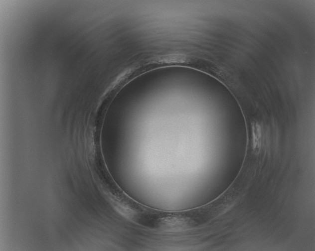 X0000061110300200511241650