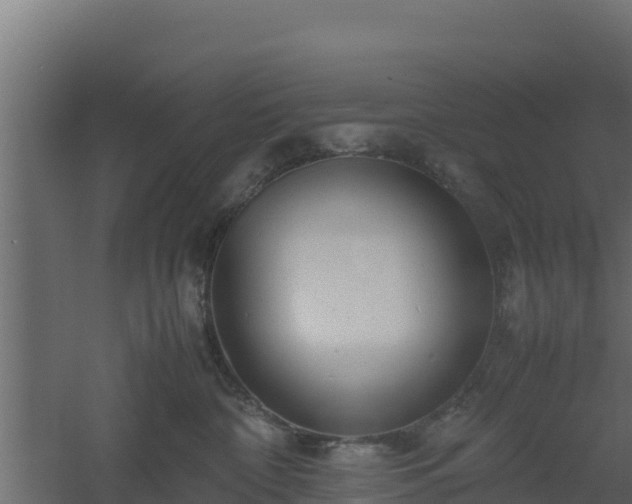 X0000061110332200511241650