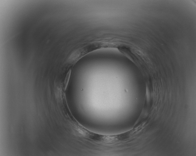 X0000061110333200511241650