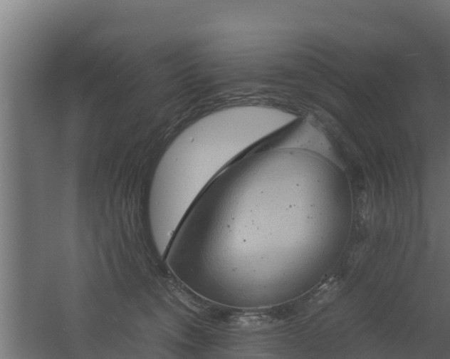 X0000061110372200511241649