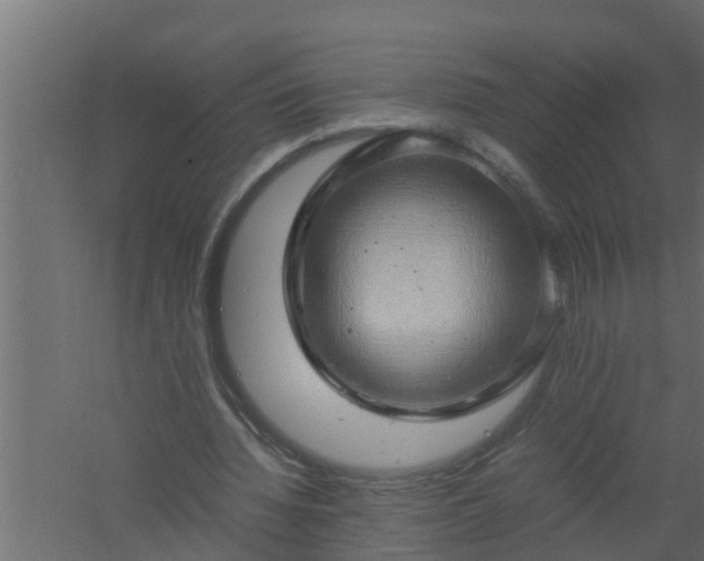 X0000061110436200511241647