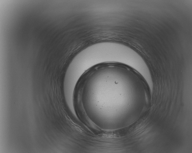 X0000061110458200511241647