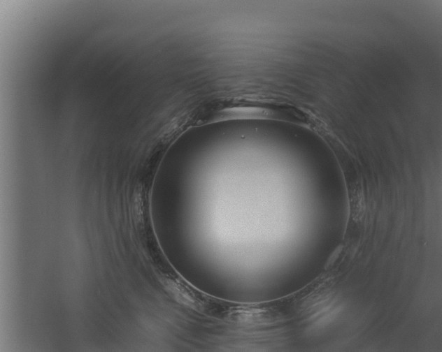 X0000061110472200511241648