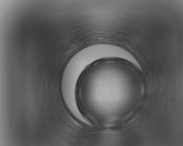 X0000061110474200511241648