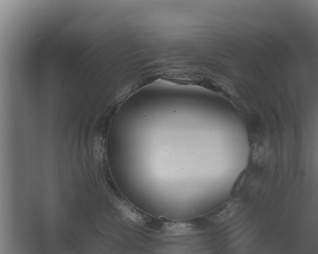 X0000061110476200511241648