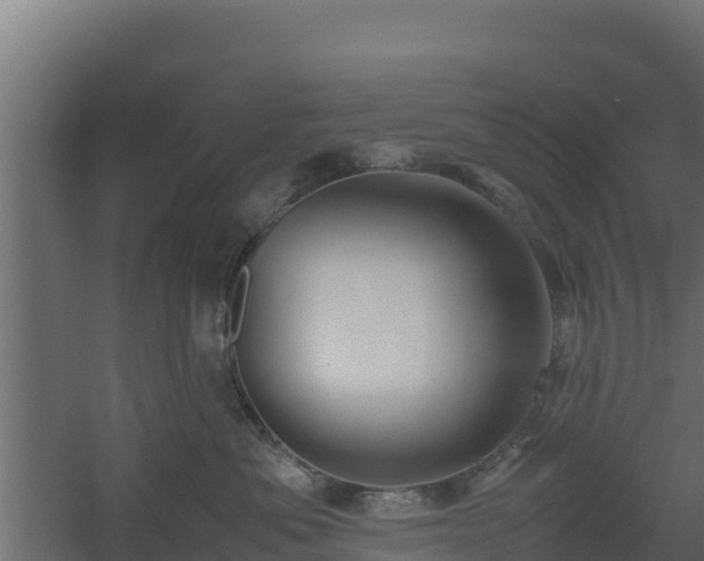 X0000061110525200511241646
