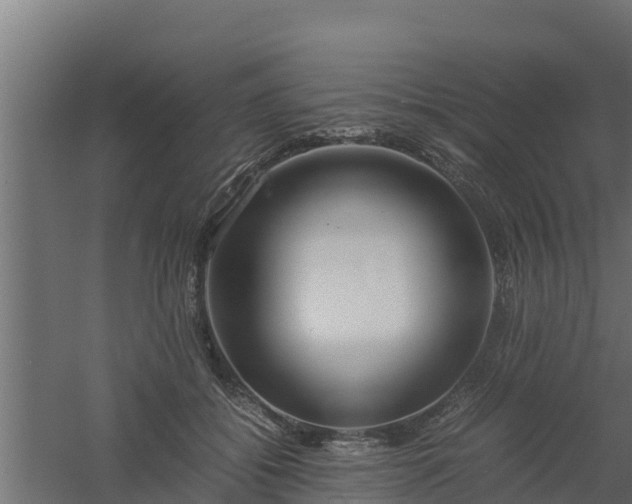 X0000061110556200511241646