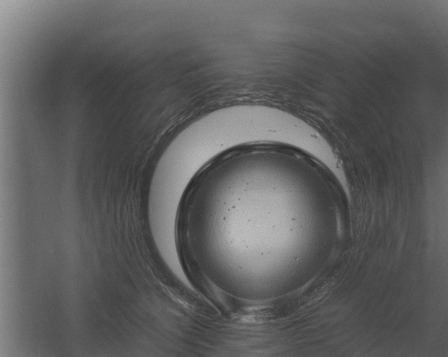 X0000061110564200511241646