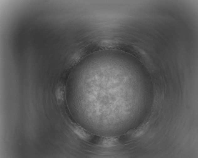 X0000061110576200511241646