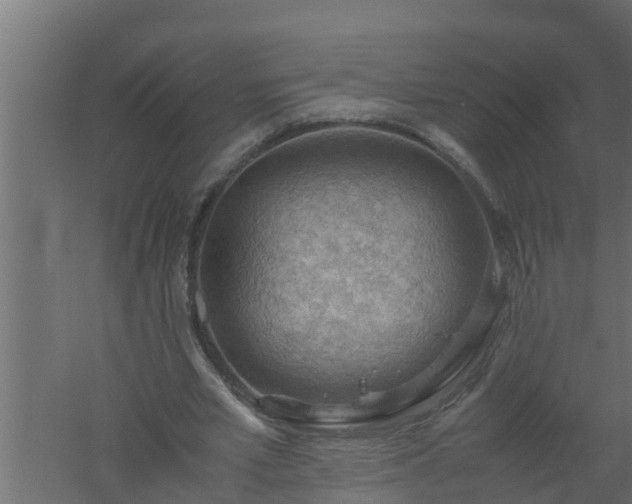 X0000061110581200511241645