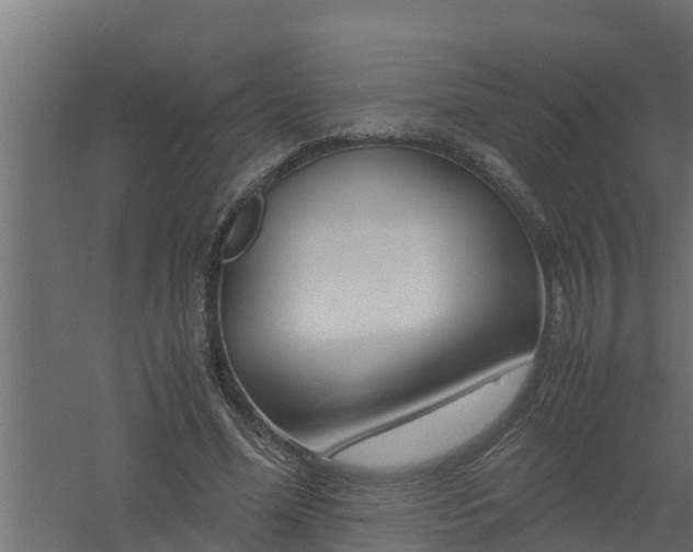 X0000061110588200511241645