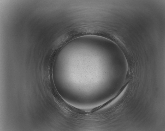 X0000061110685200511241643