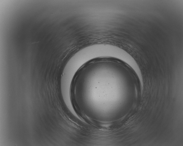 X0000061110756200511241643