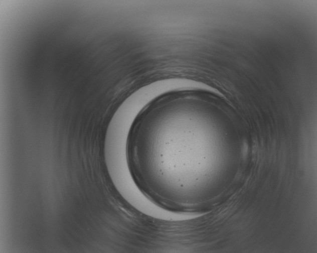 X0000061110766200511241643