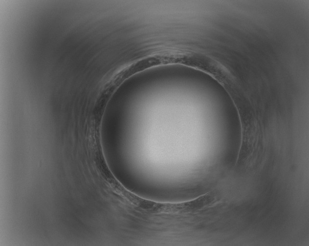 X0000061110773200511241642
