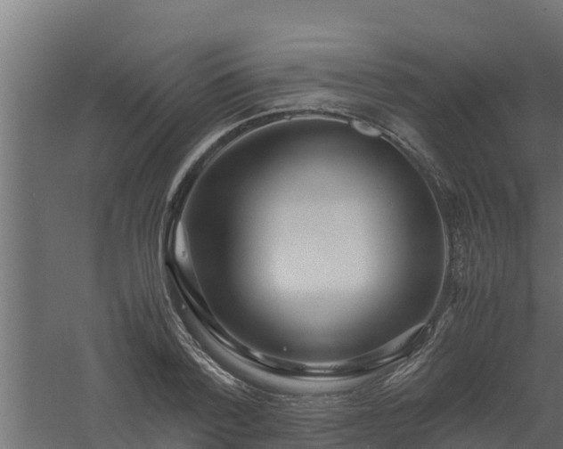 X0000061110788200511241642