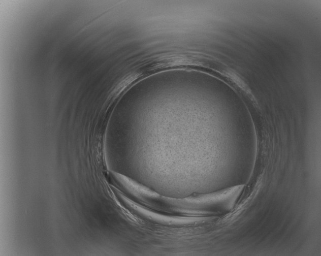 X0000061110793200511241642