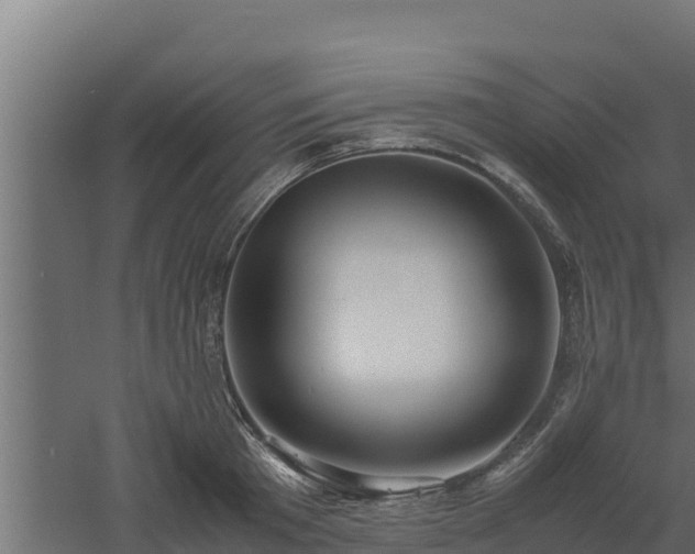 X0000061110801200511241641