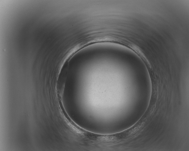 X0000061110805200511241641