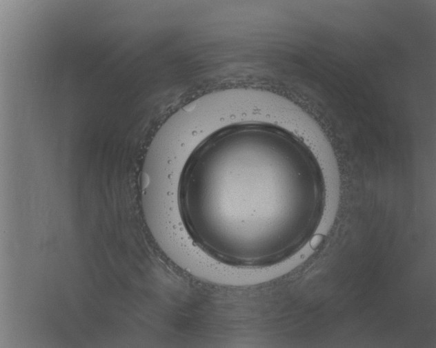 X0000061110820200511241640